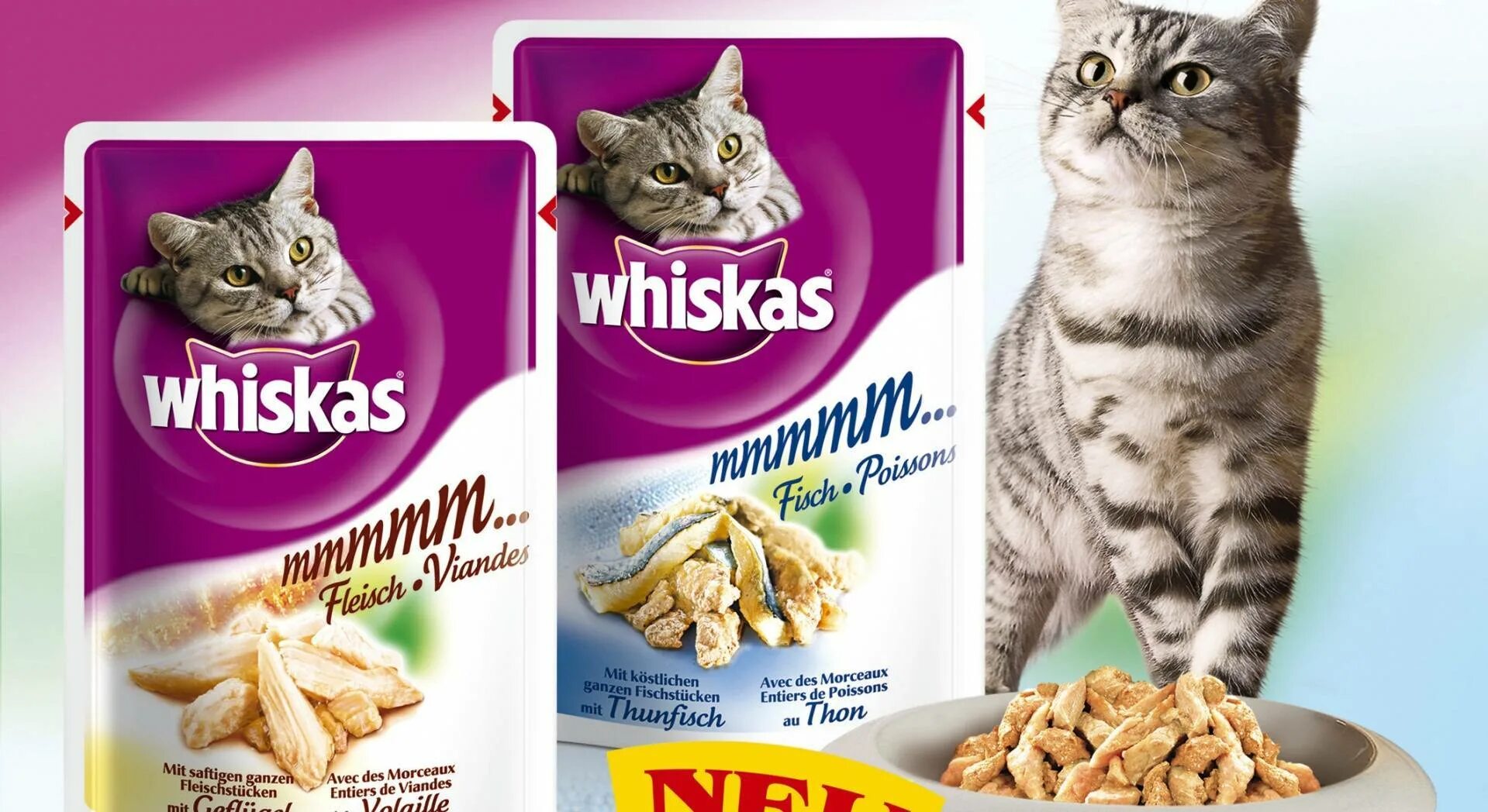 Реклама кошачьего. Кошачий корм whiskas. корм для кота вискас. реклама вискас корм для кошек. состав корма для кошек вискас.