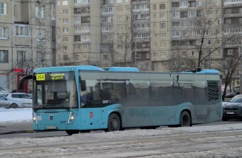 98 автобус спб