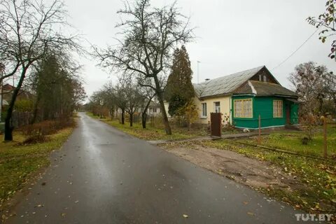 Грушевка дешевка