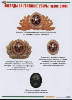 Знака головного