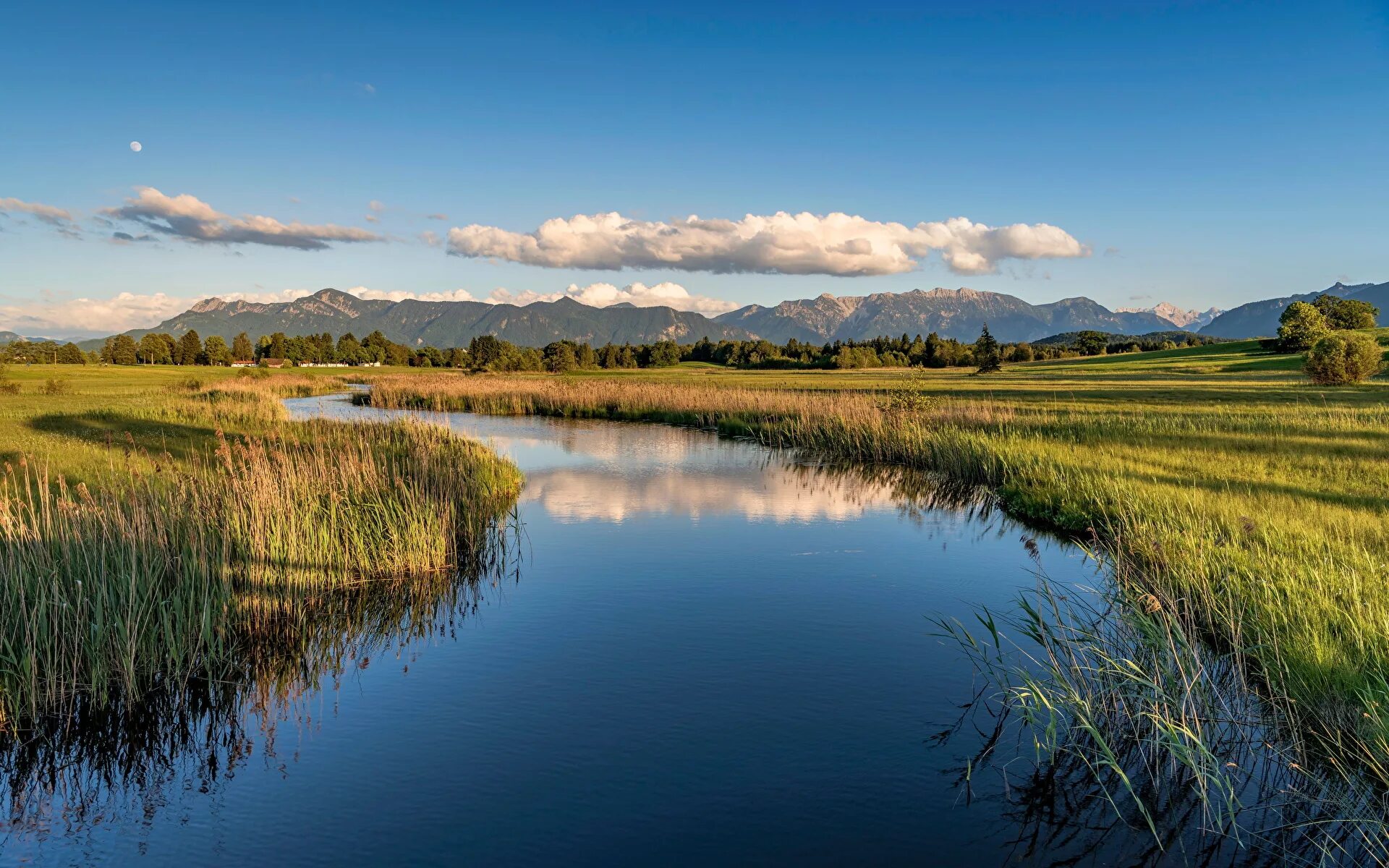 Луг река. Лес поле река. Поле с речкой. Река в поле. Поля река предложение.