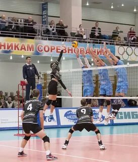 Самотлор волейбольный