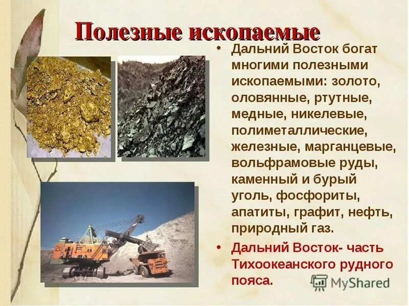 Какими богатыми ископаемыми богата центральная россия. Полезные ископаемые презентация. Полезные ископаемые Росси. Полезные ископаемые дальнего Востока. Презентация по полезным ископаемым.