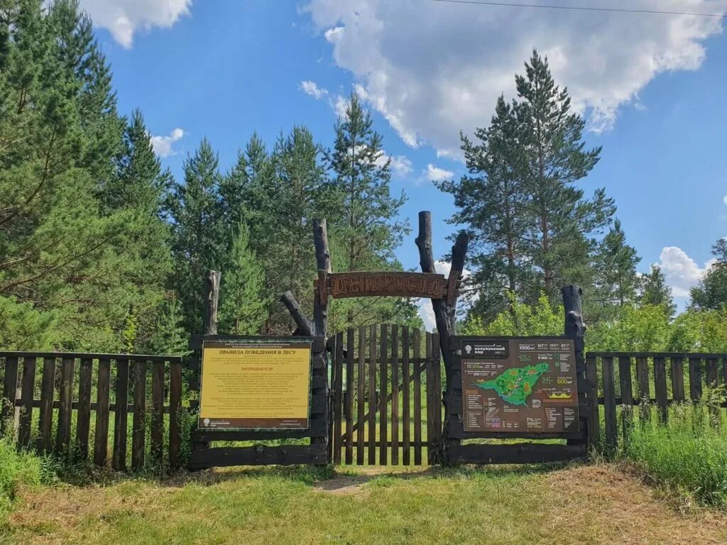Дендросад бузулукский бор. Бузулукский бор схема. Бузулукский бор санаторий. Карта национального парка бузулукский бор. Эко парк бузулукском бору.