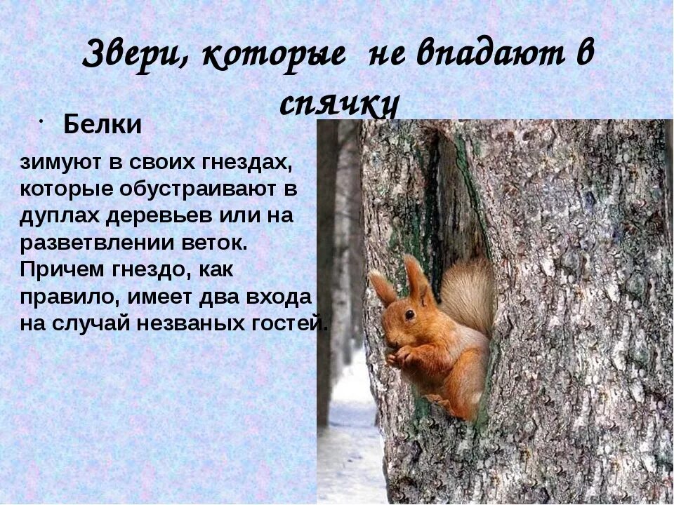 Белки впадают