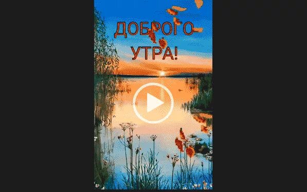 Включи видео утро. Музыкальный ролик с добрым утром для ватсап. Видеоролики с добрым утром для ватсапа. Доброе утро ролик для ватсапа. Доброе утро видео для ватсапа короткие.