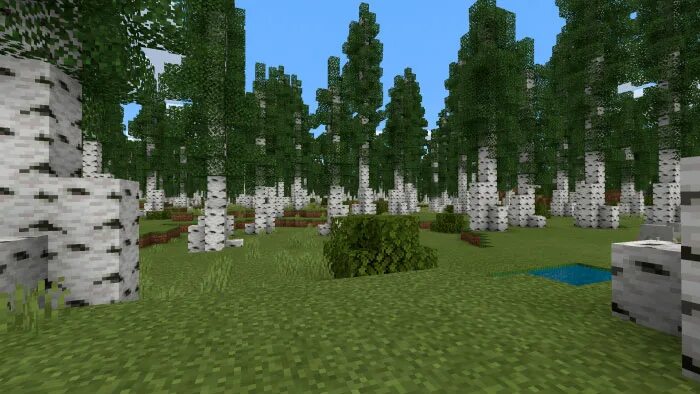 Мод больше структур. Biomes o plenty мод redwood forest. березовый лес майнкрафт. берёза майнкрафт. мод на биомы в майнкрафт пе.
