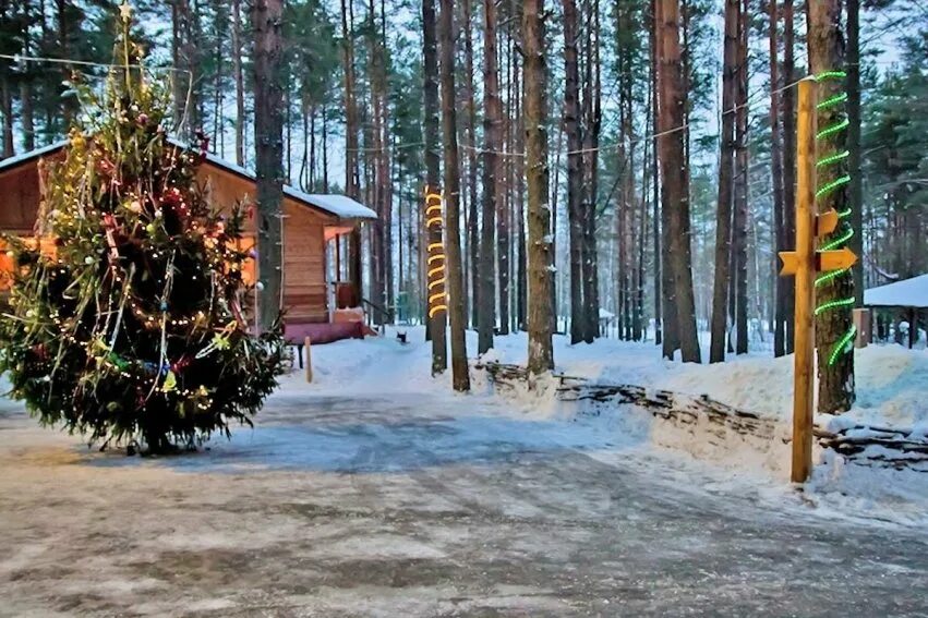 Турбаза яхра. Алсма база отдыха нижегородская область. Комплекс фермерская усадьба карелия. Галдым тамбов домики. Нижегородская область отдых новый год.