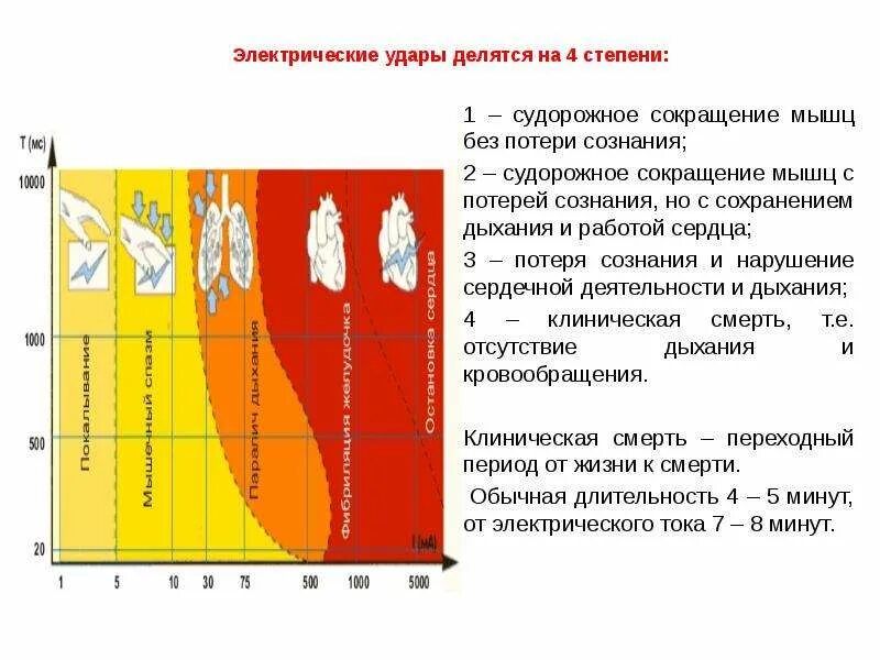 Сокращение мышц и работа сердца. Судорожное сокращение мышц без потери сознания. Судорожное сокращение мышц без потери сознания при воздействии тока. Сокращение мышц воздействием тока. Электрические удары делятся на степени.