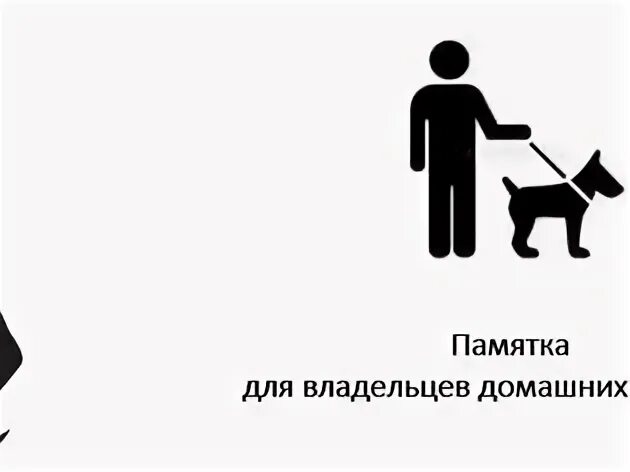 Памятка владельцам животных. Памятка владельцам животных