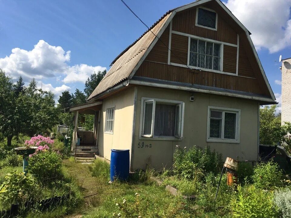 Дача трубников бор. Трубниково ленинградская область. Снт трубников бор. Трубников бор снт боровое. Трубниково ленинградская область.