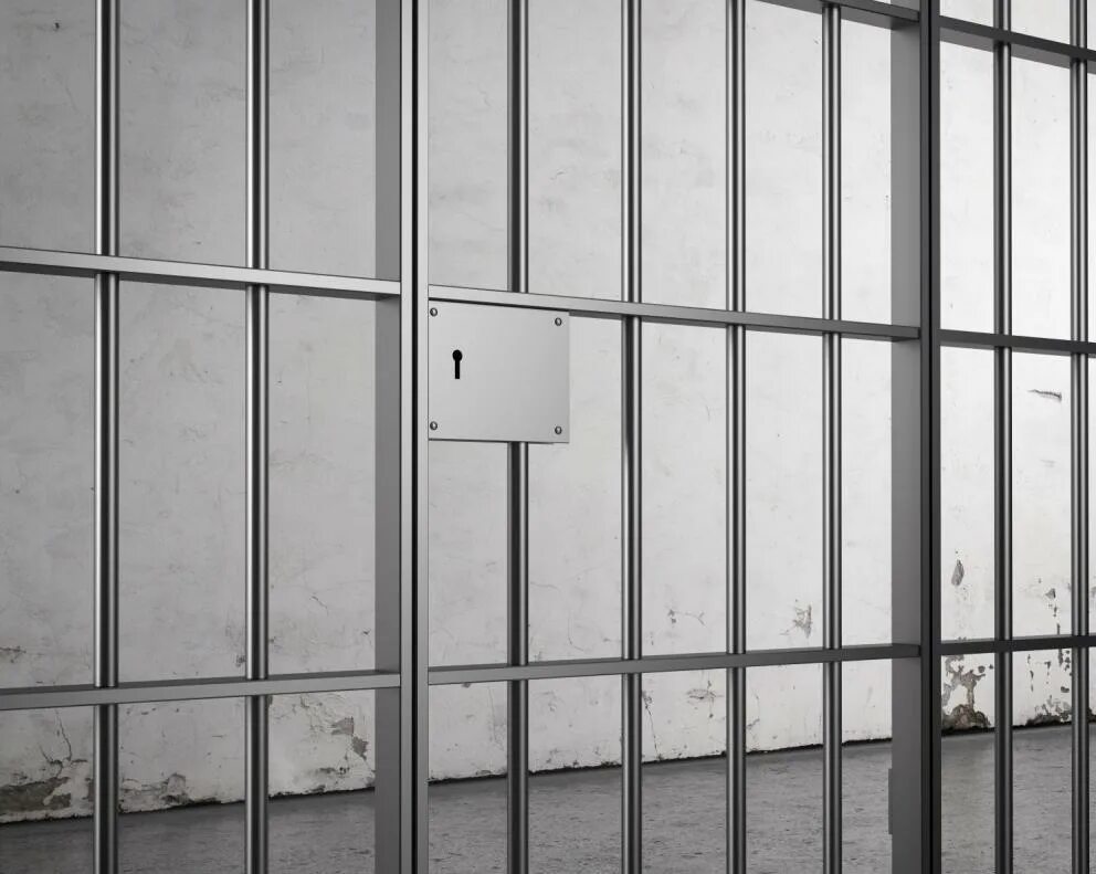 103 содержание под стражей