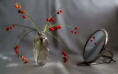 Mirror fruit
