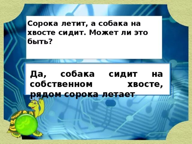 Полетели 40. Загадки черепахи Тортиллы. Сорока летит а собака на хвосте. Сорока летит а собака на хвосте сидит может ли это быть ответ. Птица летит собака на хвосте сиди ответ.