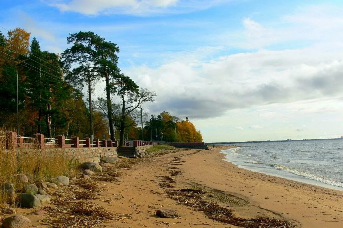 Финский залив в Санкт-Петербурге Репино. Курортный район СПБ Репино. Репино финский залив. Финский залив посёлок Репино. Санаторий на берегу финского залива