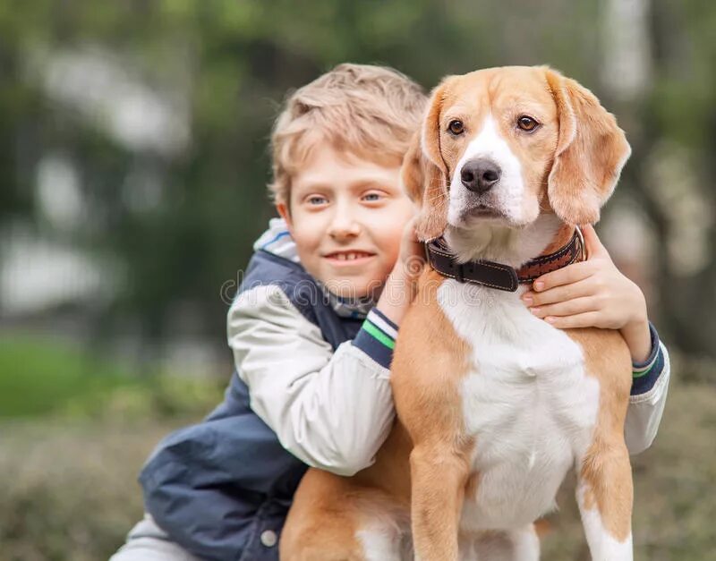 Мальчик со своей собакой. Собака для детей. Собака для детей. Собака для детей. Мальчик со своей собакой.