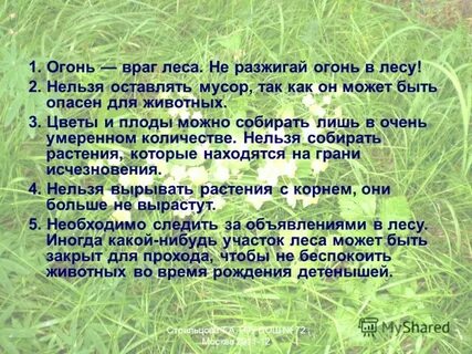 Враг леса
