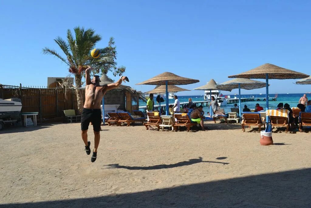 Roma host way. Roma host way aqua park 4*. dexon roma hotel hurghada.