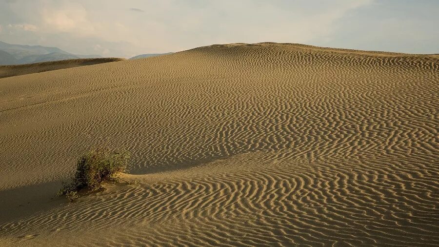 Туркмения каракумы оазис. В центре пустыни каракумы. Ашхабад каракумы. Пустыня каракумы узбекистан. Пески каракумы туркменистан.