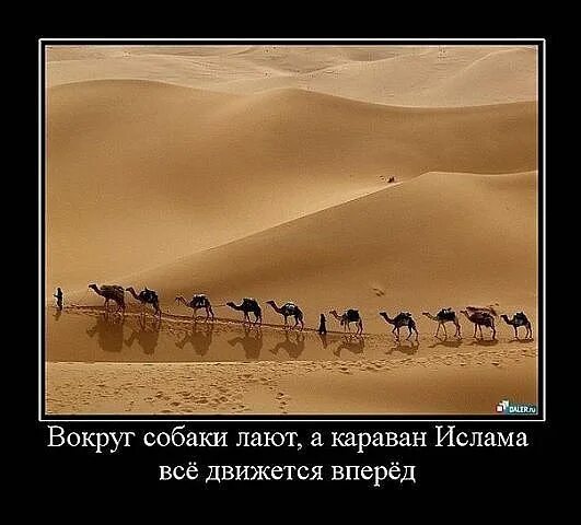 Выражение караван идет. Собаки лают караван идет. сабаки лаию каравани идт. каравай идет а собаки лают. собака тявкает караван идет.