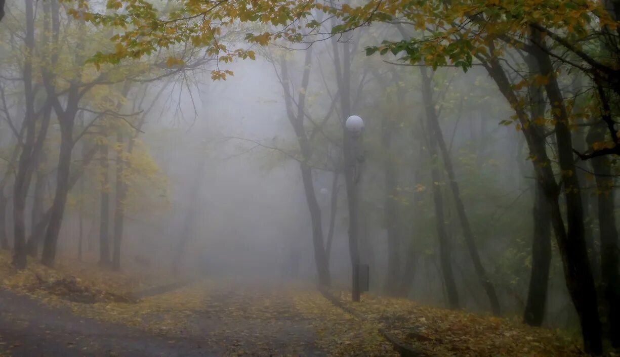 Железноводск в октябре. Красивый туман октября. Туман из тумана. Железноводск в октябре фото. Железноводск октябрь