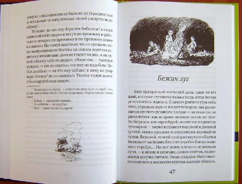 Книга муму содержание. Тургенев Муму сколько страниц в книге. Сколько страниц в произведении Муму Тургенева. Сколько страниц в книге Муму Тургенева.