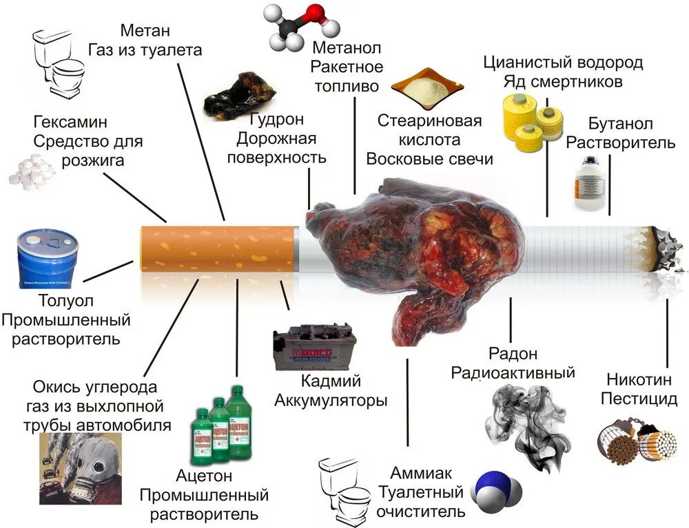Из чего состоит никотин. Курение табака состав табачного дыма. сигареты состав вредных веществ. из чего состоит табак в сигаретах. вредные вещества в сигарете.
