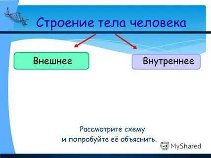 Качества человека внешние внутренние