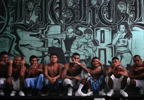 Gang boy
