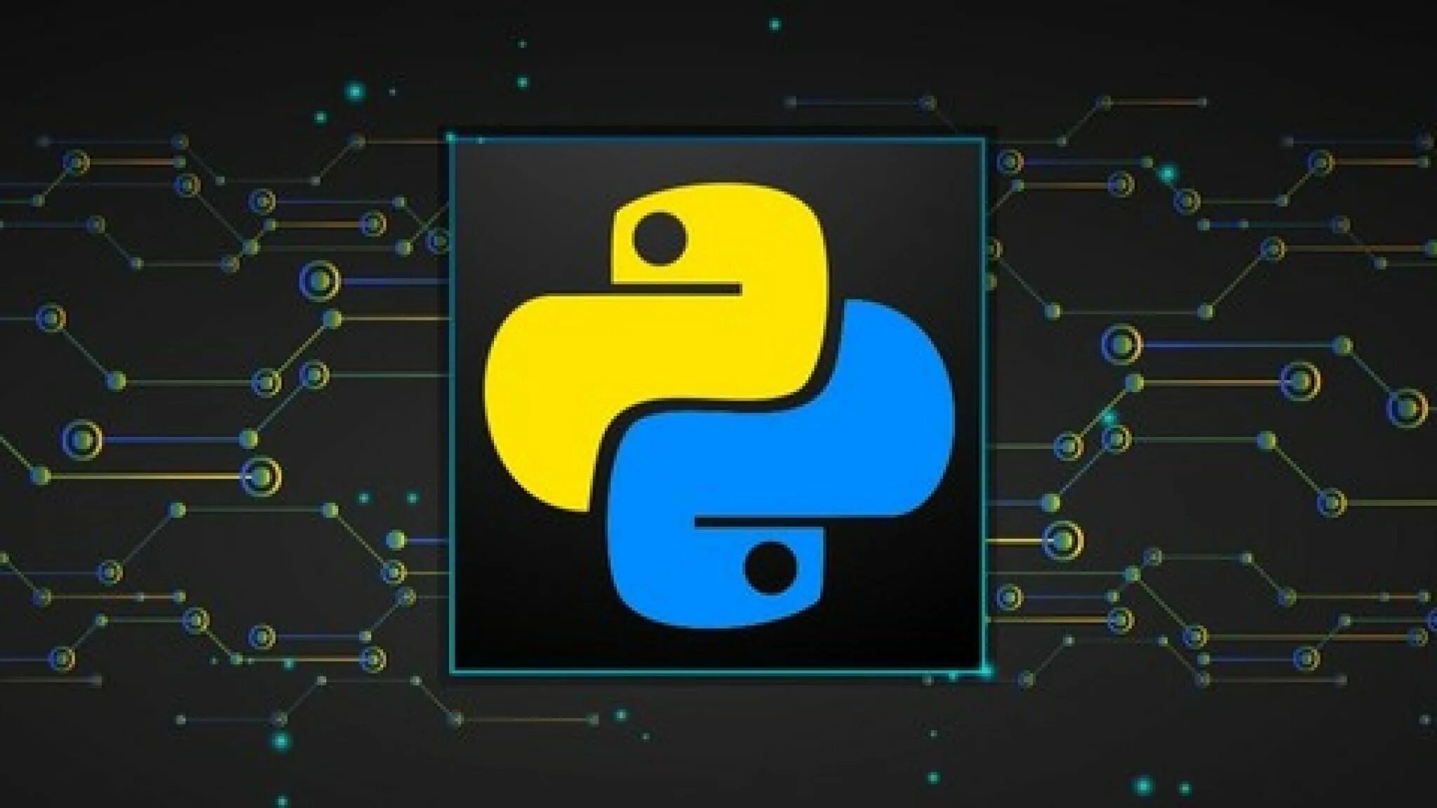 Python картинки. Питон язык программирования логотип. Обои на рабочий стол программирование. Обои программиста.