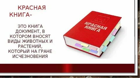 Красная книга отзывы