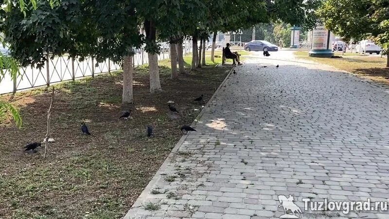 Жара в Новочеркасске. Дождь Ростовская обл. Новочеркасск с воздуха. Когда закончится дождь в Янтарном. Погода новочеркасск ростовская область на 10 дней