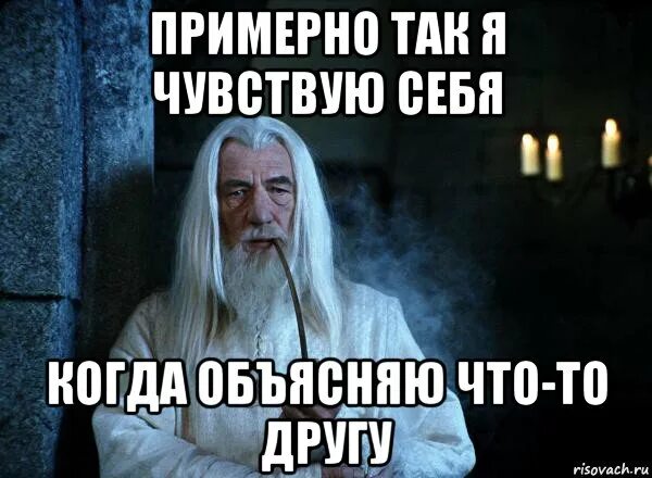 И в том нет власти. Мем с гендальфом. у тебя здесь нет власти мем. гендальф курит мем. мем примерно.