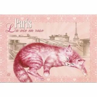 Chat paris