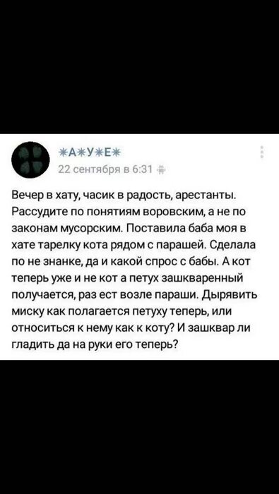 Вечер в хату. В хату вечер в хату. Вечер в хату продолжение. Переписка с мошенниками вечер в хату.