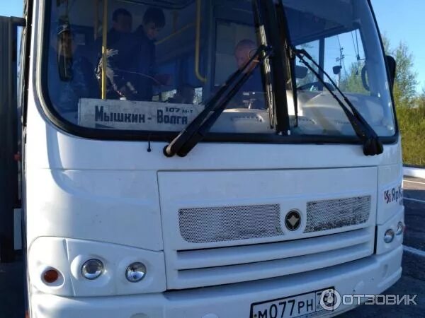 Volgabus 4298 ритмикс. Автобус мышкин ярославль. Автобус мышкин волга. Volgabus-5270. Автобусы ярославль паз 3204.