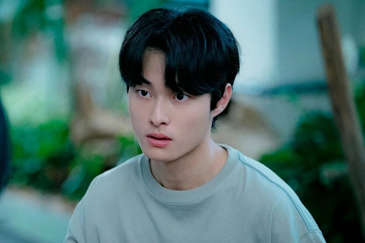 Дорама курьер 2023. Дорамы 2023 софтбокс. Студия софтбокс дорамы. Кан мин-хёк. Мы встретились случайно дорама.