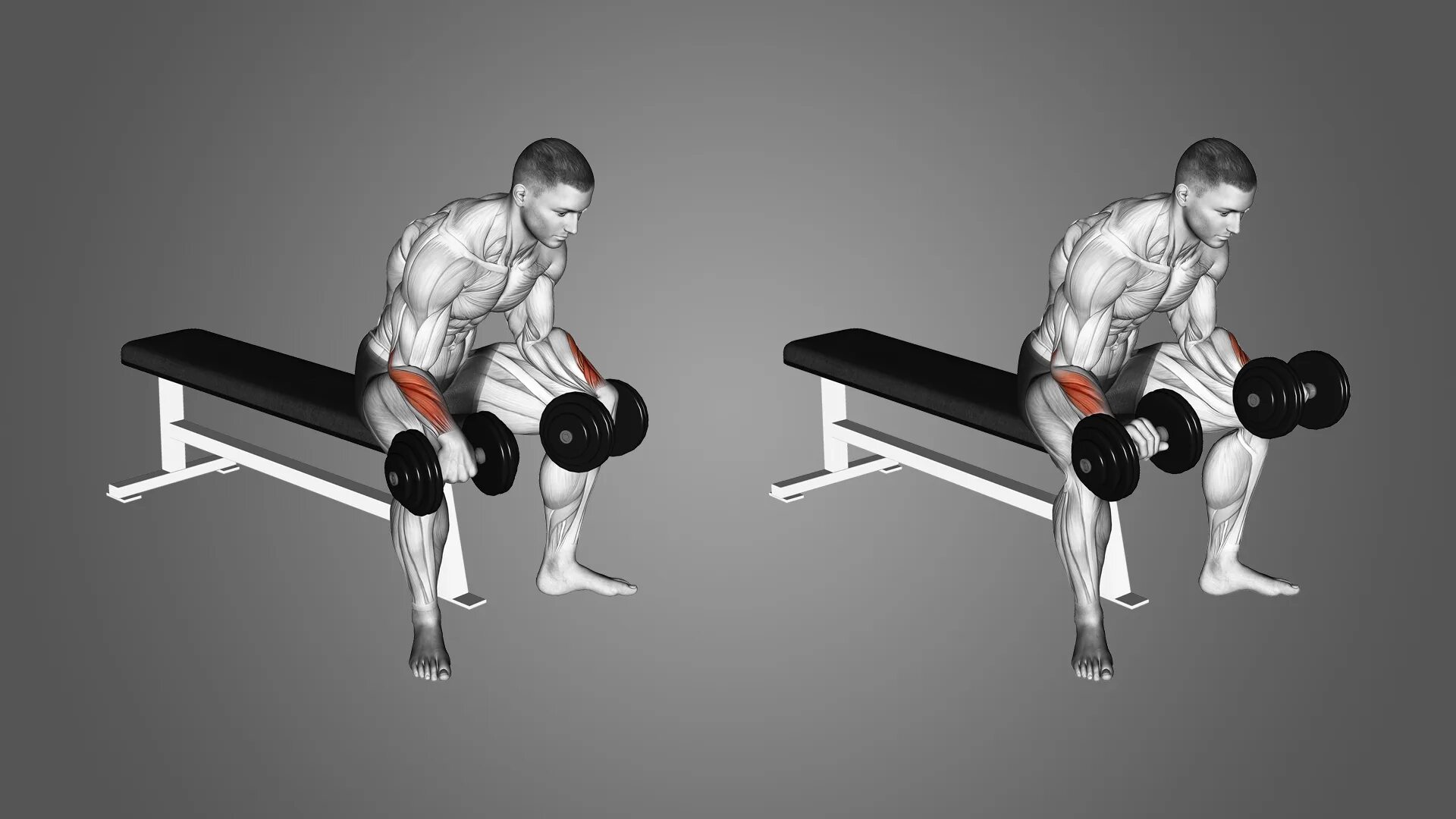 Curl nexus. Reverse barbell curl. reverse wrist curls. barbell wrist curl. wrist curls упражнение.