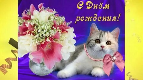 С днем рождения женщине с котом открытки