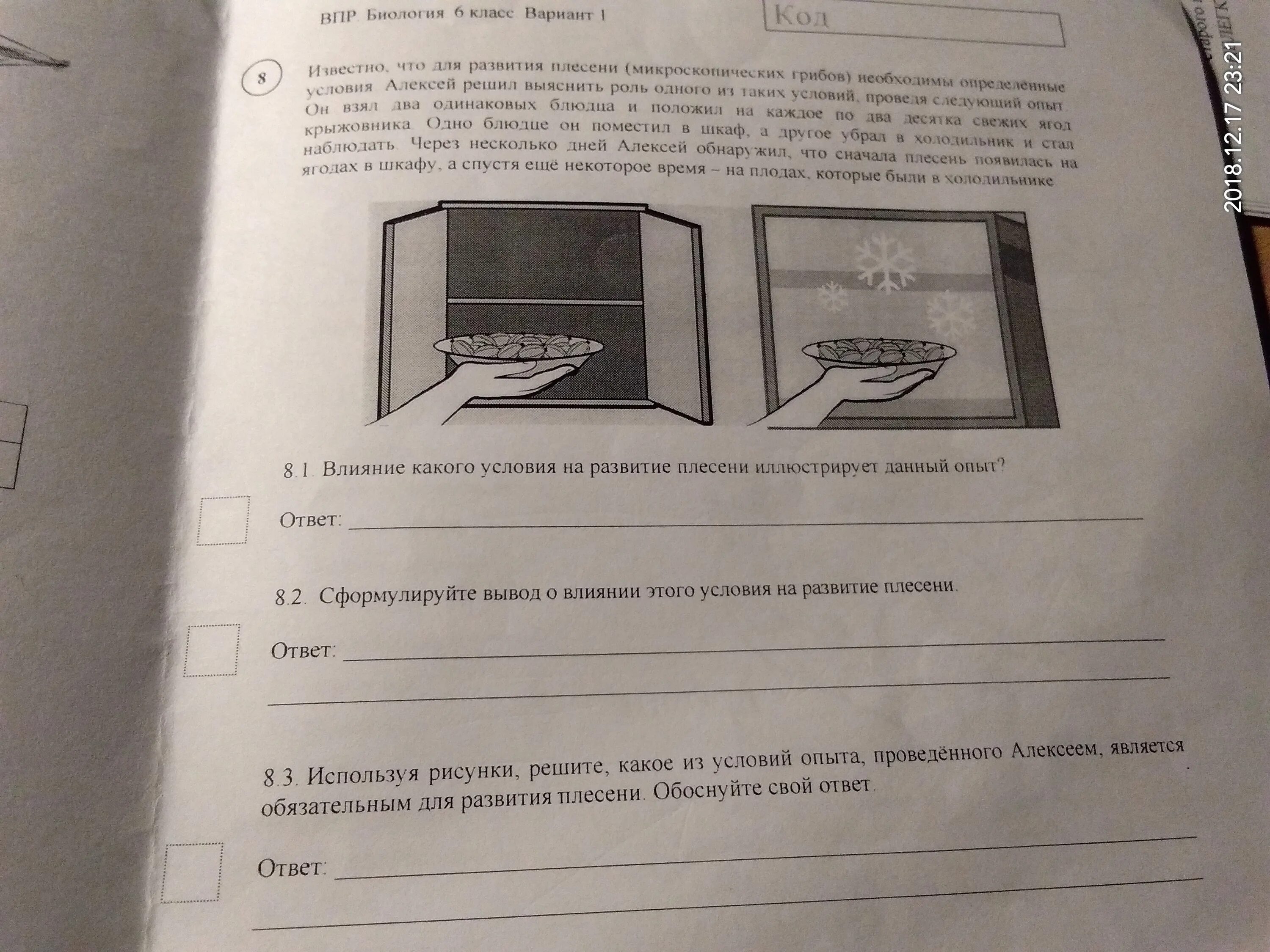 Известно что для развития плесени необходимы определенные условия. Какое условие является обязательным для развития плесени. Влияние какого условия на развитие плесени иллюстрирует данный опыт. Известно что для развития плесени необходимы определенные