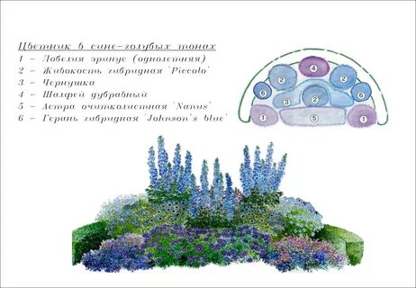 Готовые схемы цветников