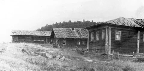 Белянка белокатайский