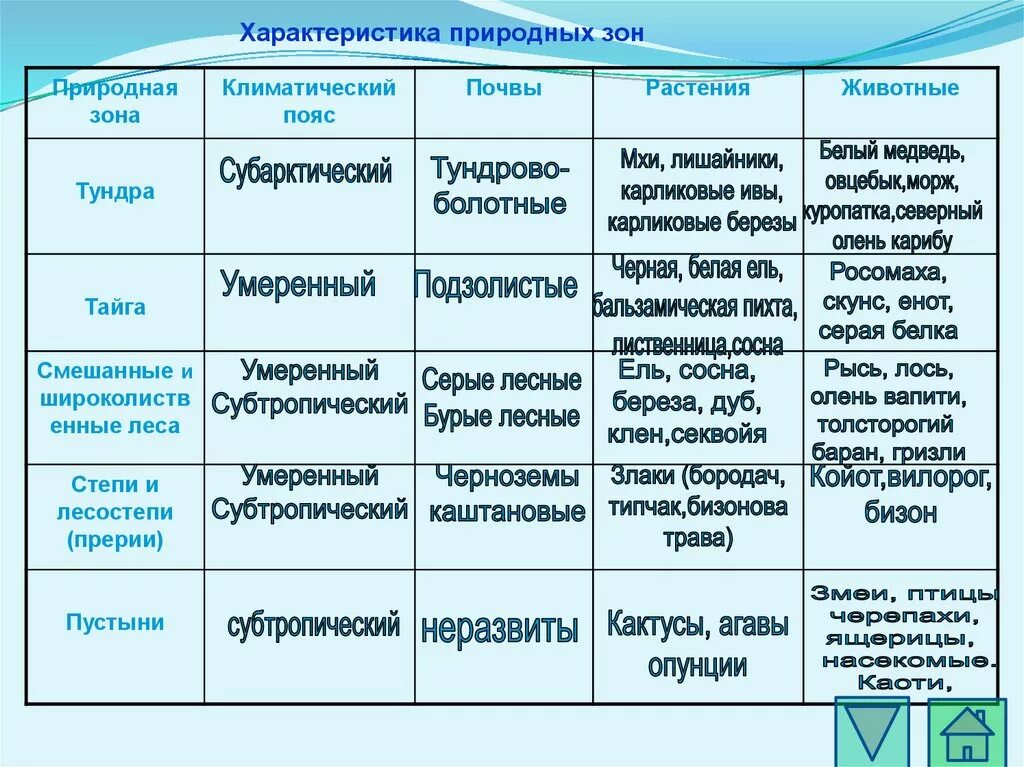 Природные зоны Северной Америки таблица. Таблица природные зоны и население Северной Америки география 7 класс. Характеристика природных зон Северной Америки таблица. Особенности природных зон земли