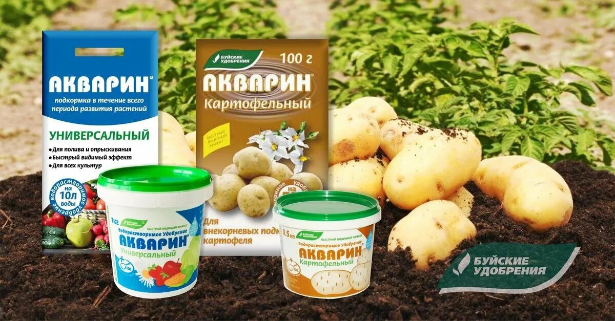 Удобрение для картофеля. Органическое удобрение для картофеля. Подкормка для картошки. Удобрение для посадки картошки.