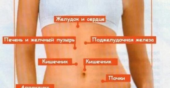 Что находится под девушкой. Болит низ живота. что находится в левом боку. дискомфорт с левой стороны живота. органы справа в дивоет.