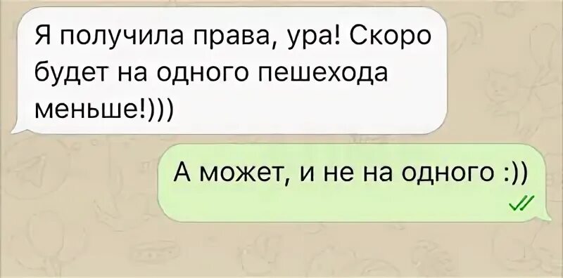 На одного пешехода меньше. Скоро станет на одного пешехода меньше. На одного пешехода стало меньше.