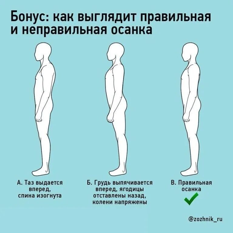 Положение тела при котором плечи