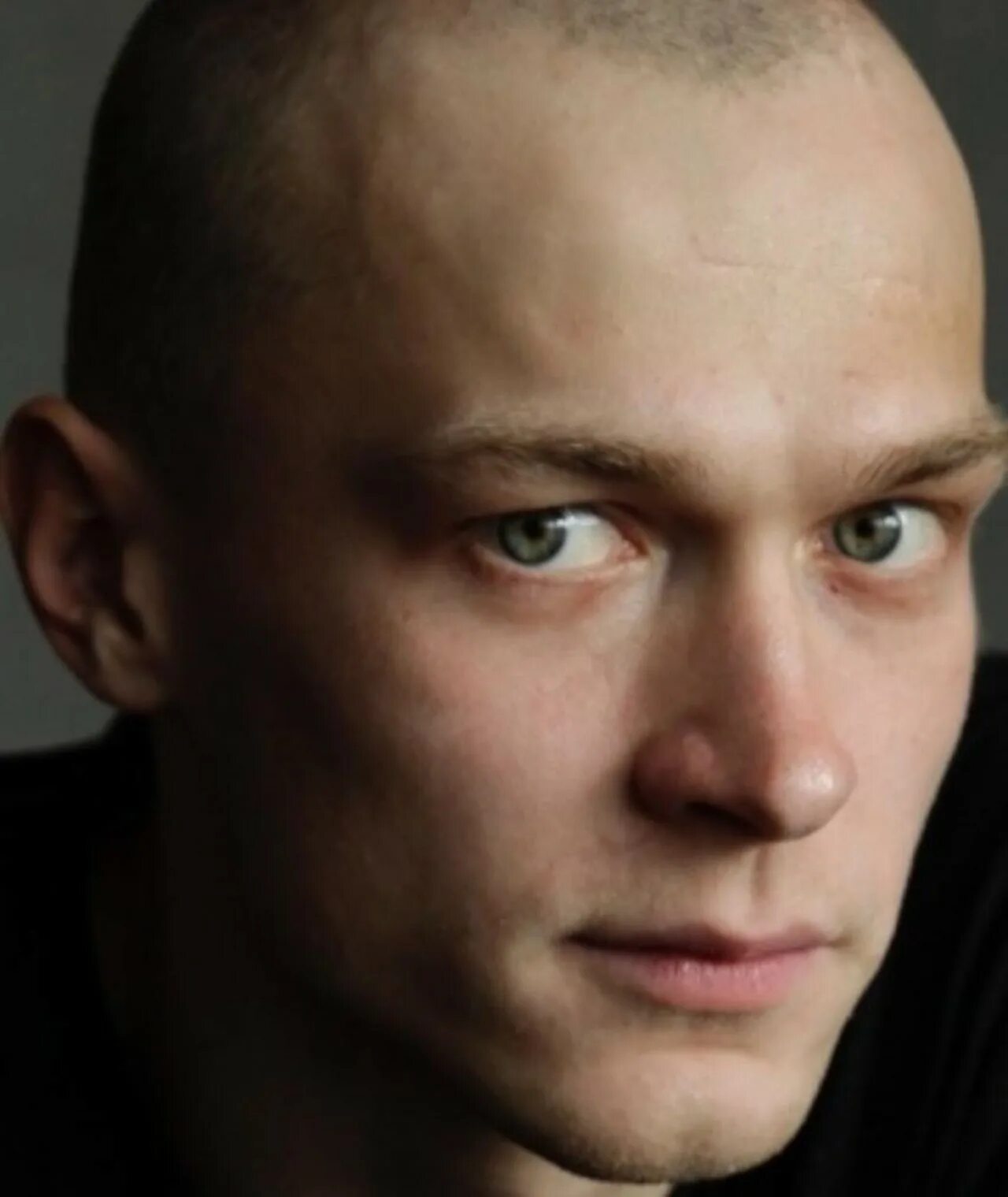 Лев из ольги