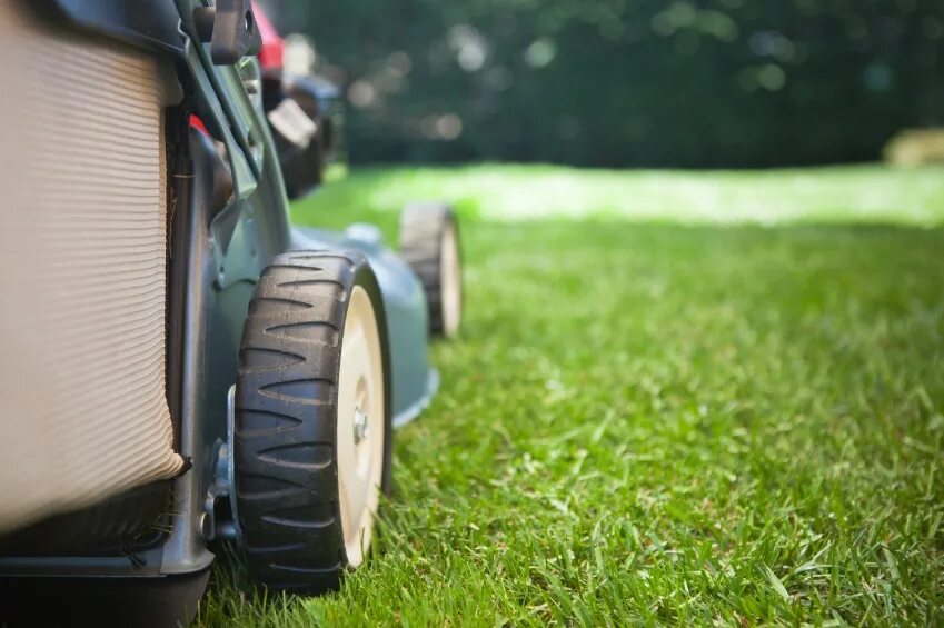 Mowing the grass. Mowing.