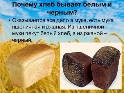 Почему хлеб липецк